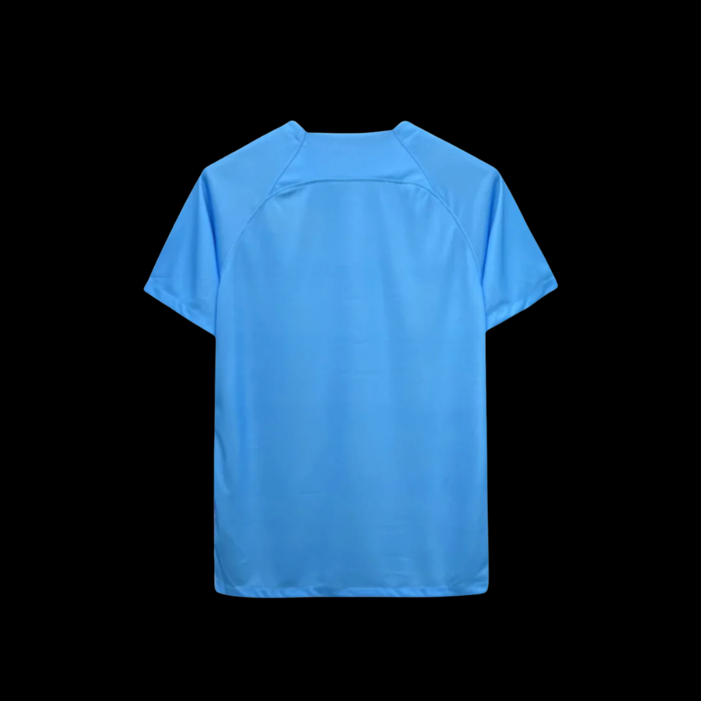 Netherlands SPECIAL EDITION JERSEY 2024/25